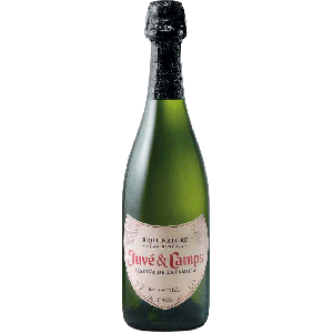 Espumante Cava Juve & Camps Gran Reserve De La Familia Brut 2019