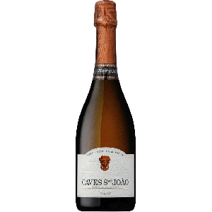 Espumante São Joao Luiz Costa Bruto 2019