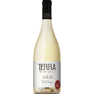 Terra Harvest White 2024