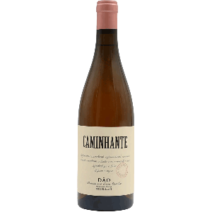 Caminhante Rose 2022