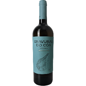 Gravuras Do Coa Superior Branco 2024