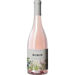 Rubus Rose 2025
