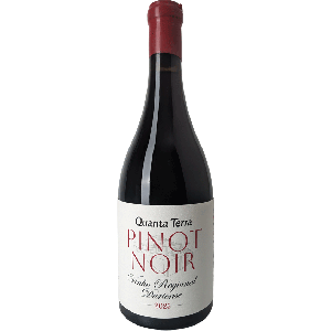 Quanta Terra Pinot Noir Tinto 2025