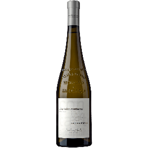 Alvarinho Anselmo Mendes Contacto 2025