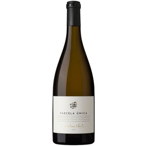 Alvarinho Anselmo Mendes Parcela Única 2021