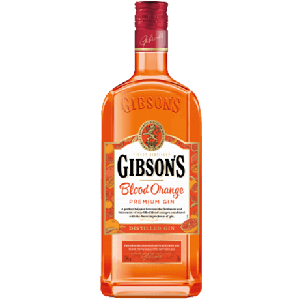 Gin Gibson's Orange