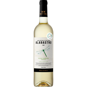 Alabastro White 2024