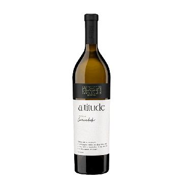 Adega Mayor Altitude Reserve White 2023