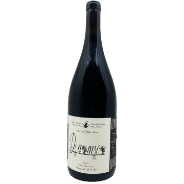 Filipa Pato Dinamica Red Magnum 2021