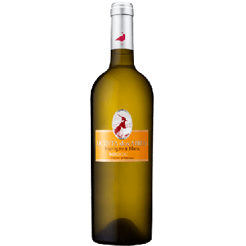 Quinta Dos Abibes Sauvignon Blanc White 2025