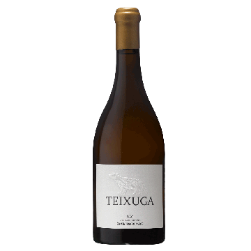 Teixuga White 2020