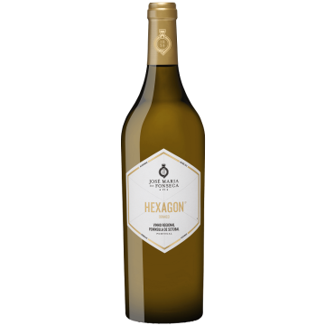 Hexagon White 2017