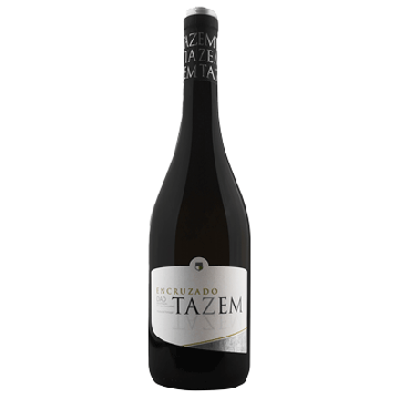 Tazem Encruzado White 2024