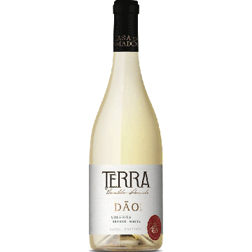 Terra Harvest White 2024