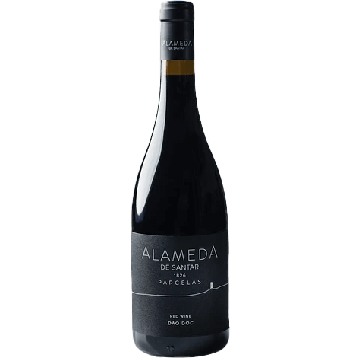 Alameda De Santar Parcelas Red 2017