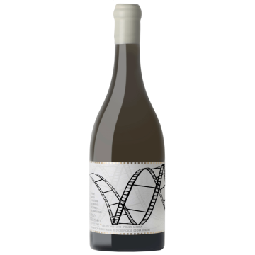 São João 98 Years De História White 2017