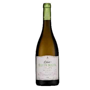 Santa Maria Granitico White 2024