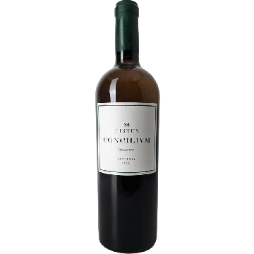 Cistus Concilivm White 2022