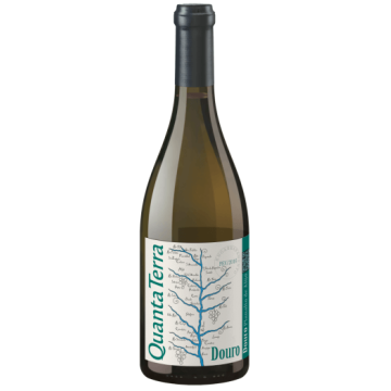 Quanta Terra Grande Reserve White 2022