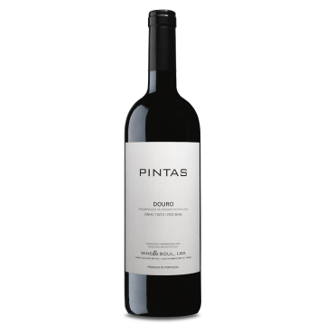 Pintas Red 2020