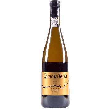 Quanta Terra Gold Edition White 2017