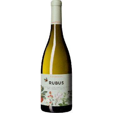 Rubus White 2025
