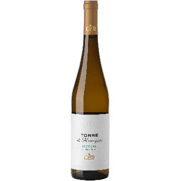 Torre De Menagem Alvarinho Trajadura 2024