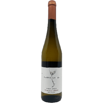 Conde Villar Alvarinho Arinto White 2023