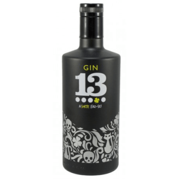 Gin 13