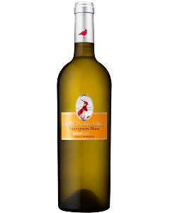 Quinta Dos Abibes Sauvignon Blanc Branco 2023