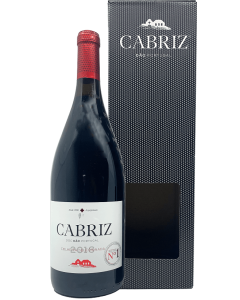 Cabriz Tinto Magnum 2022